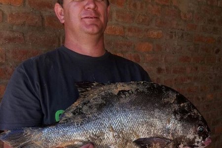 Arno met sy wen-galjoen